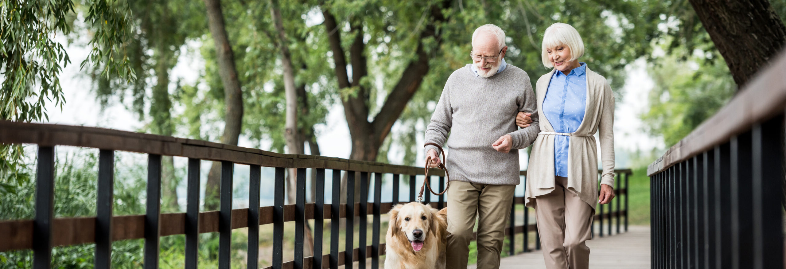 Attractions Near The Pavilion at Great Hills Senior Living in Austin, TX